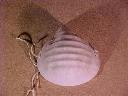 Disposable dust mask